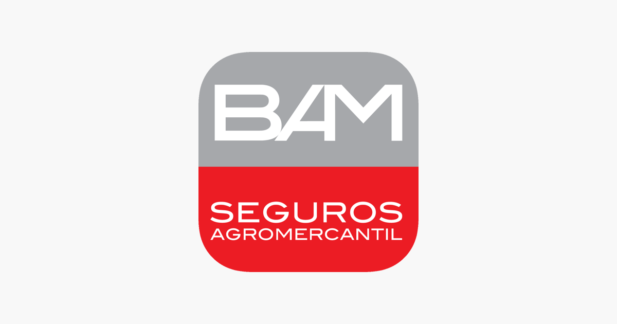 bam logo